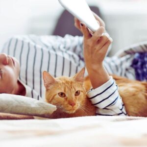 Hizmetkar mı Efendi mi: Kediler Sizi Gerçekten Nasıl Görüyor?